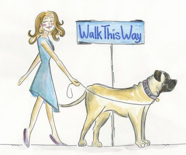 Need a dog walker or pet sitter? We are here for YOU!